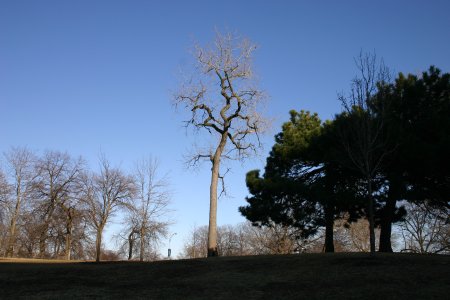 img011.jpeg.medium.jpeg