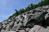 025-IMG_1580_e.JPG.small.jpeg
