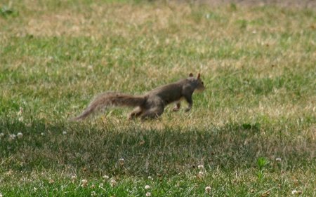 030-IMG_1688_e.JPG.medium.jpeg