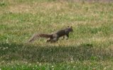 030-IMG_1688_e.JPG.small.jpeg
