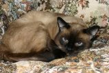 064-IMG_2081.JPG.small.jpeg