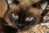 066-IMG_2084.JPG.small.jpeg
