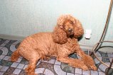 069-IMG_2088.JPG.small.jpeg