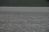 083-IMG_2459.JPG.small.jpeg