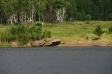 088-IMG_2464.JPG.small.jpeg