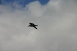 095-IMG_2471.JPG.small.jpeg