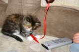 099-IMG_3596.JPG.small.jpeg