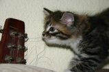 100-IMG_3598.JPG.small.jpeg