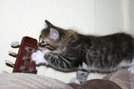 101-IMG_3599.JPG.medium.jpeg