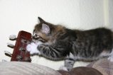 101-IMG_3599.JPG.small.jpeg