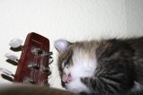 102-IMG_3600.JPG.small.jpeg