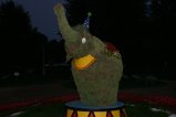 113-IMG_3625.JPG.small.jpeg