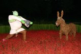 116-IMG_3630.JPG.small.jpeg