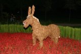 117-IMG_3632.JPG.small.jpeg