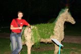 119-IMG_3634.JPG.small.jpeg