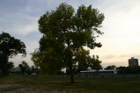 013-IMG_3833.JPG.small.jpeg