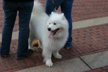 008-IMG_3852.JPG.medium.jpeg