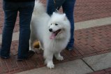 008-IMG_3852.JPG.small.jpeg