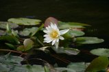 009-IMG_3853.JPG.small.jpeg