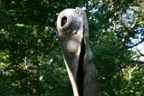 017-IMG_3879.JPG.small.jpeg