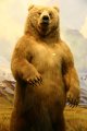 018-IMG_3881_e.JPG.small.jpeg