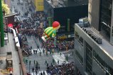 001-IMG_3973.JPG.small.jpeg