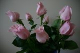 021-IMG_4020.JPG.small.jpeg