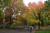 023-IMG_4022.JPG.small.jpeg