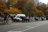 025-IMG_4024.JPG.small.jpeg