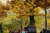 026-IMG_4025.JPG.small.jpeg