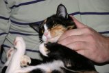 041-IMG_4045.JPG.small.jpeg