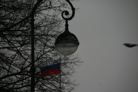 015-IMG_4207.JPG.medium.jpeg