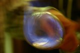 018-IMG_4258.JPG.small.jpeg