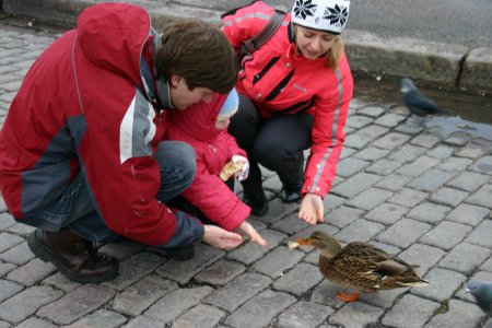 036-IMG_4403.JPG.medium.jpeg