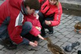 037-IMG_4404.JPG.small.jpeg