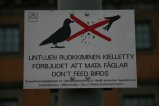 039-IMG_4411.JPG.small.jpeg