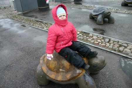 040-IMG_4412.JPG.medium.jpeg