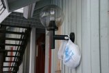 072-IMG_4460.JPG.small.jpeg
