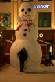 090-IMG_4493_e.JPG.small.jpeg