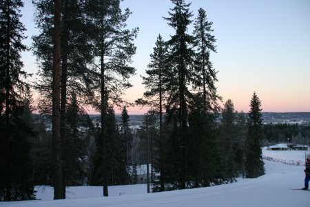 116-IMG_4532.JPG.medium.jpeg