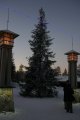 120-IMG_4539_e.JPG.small.jpeg