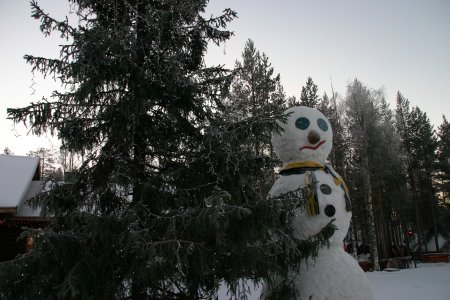124-IMG_4545.JPG.medium.jpeg