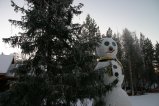 124-IMG_4545.JPG.small.jpeg