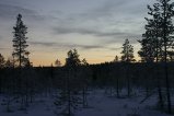 135-IMG_4562.JPG.small.jpeg