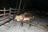 139-IMG_4570.JPG.small.jpeg