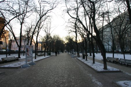 010-IMG_4627.JPG.medium.jpeg