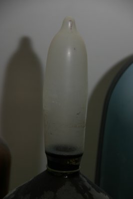 026-IMG_4781_e.JPG.medium.jpeg