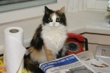027-IMG_4784.JPG.small.jpeg