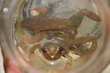 028-IMG_4787.JPG.small.jpeg
