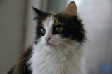 031-IMG_4795.JPG.small.jpeg